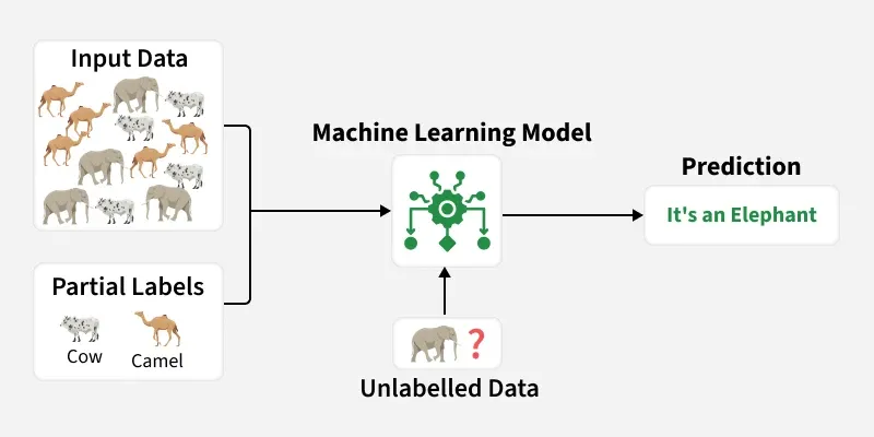 machine_learning_model