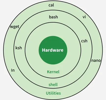 shell_in_os