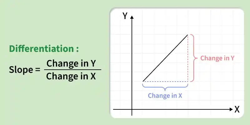 differentiation_