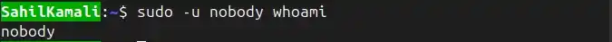 nobody-whoami