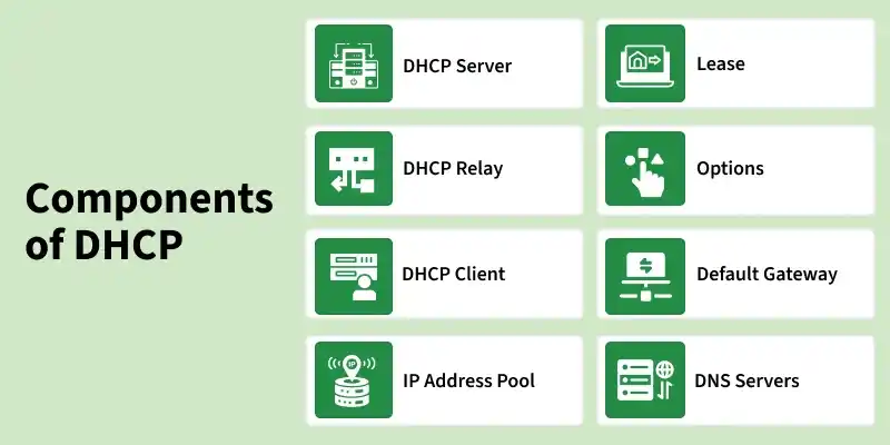 dhcp