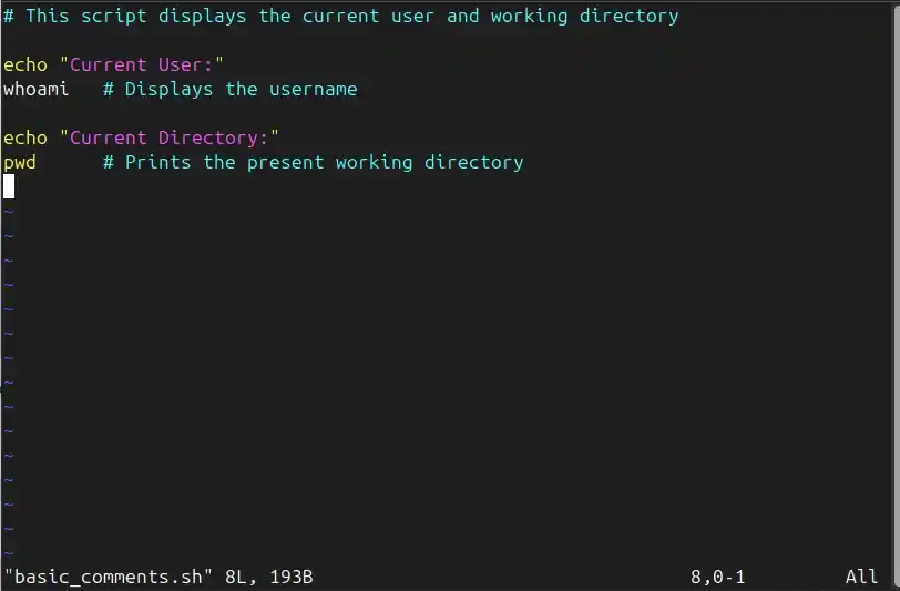 basic_comments_vim