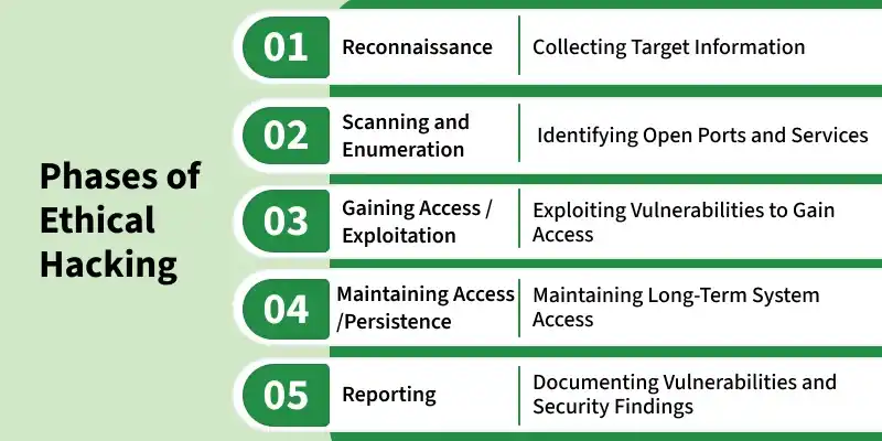 phases_of_ethical_hacking