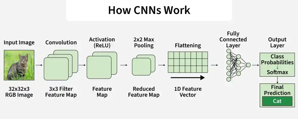 how_cnns_work