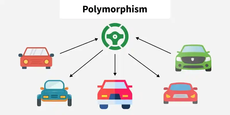 polymorphism