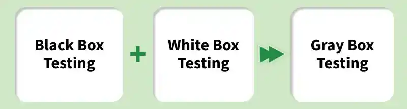 gray_box_testing_