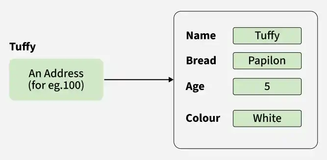 initialization_of_object_tuffy