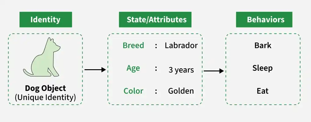 dog_object