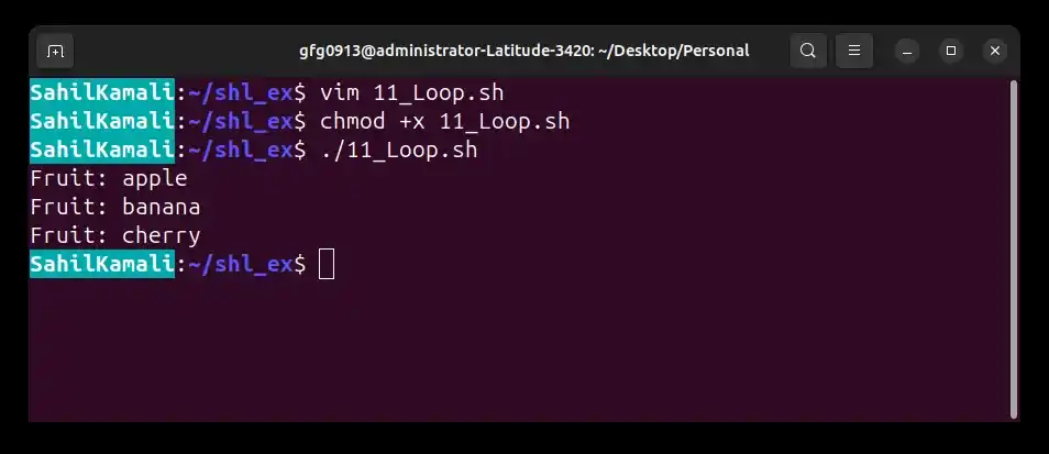 11_Loop