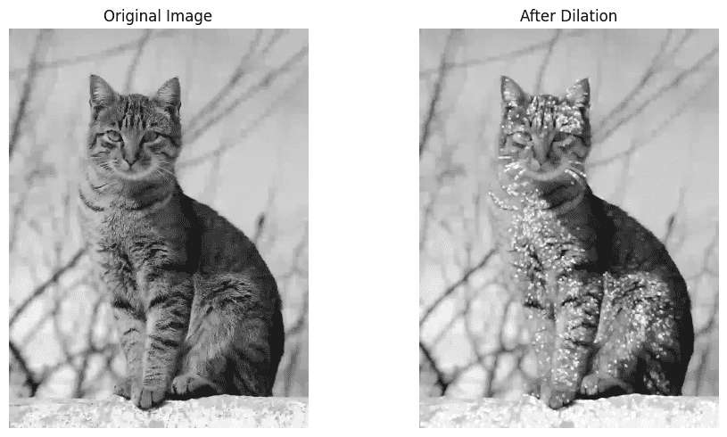 dilation