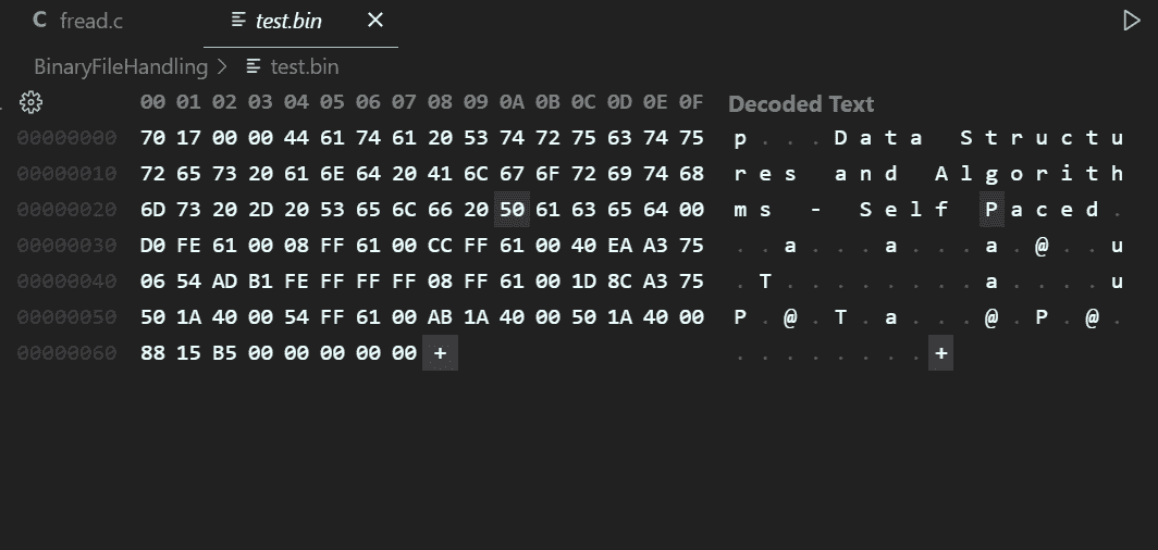binaryFile