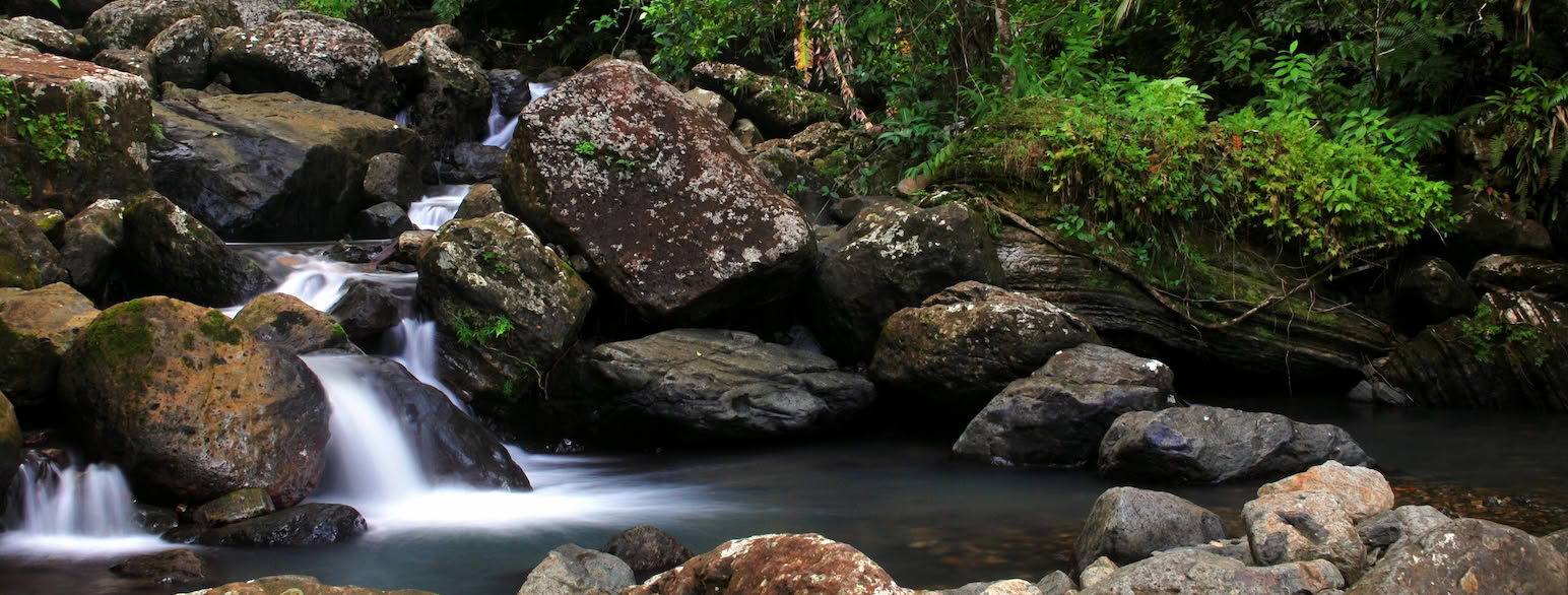 Vandløb med små vandfald i El Yunque National Forest på det østlige Puerto Rico