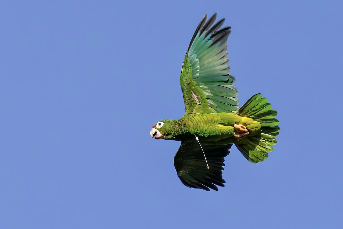 Puerto Rico