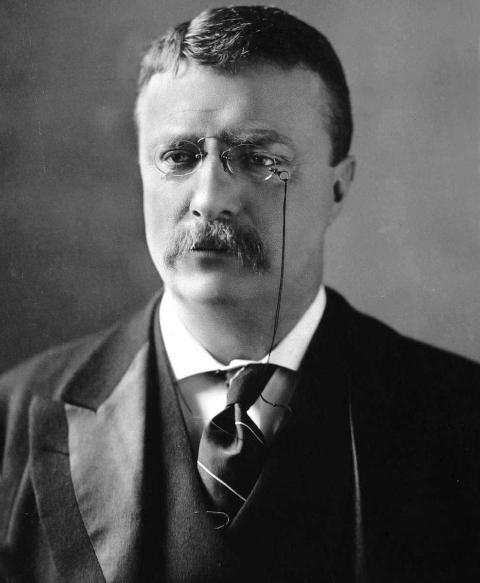 Theodore Roosevelt