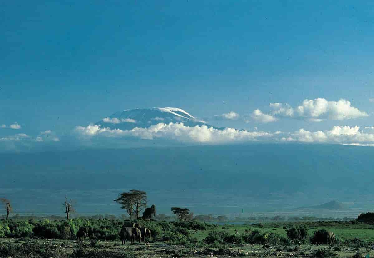 Kilimanjaro