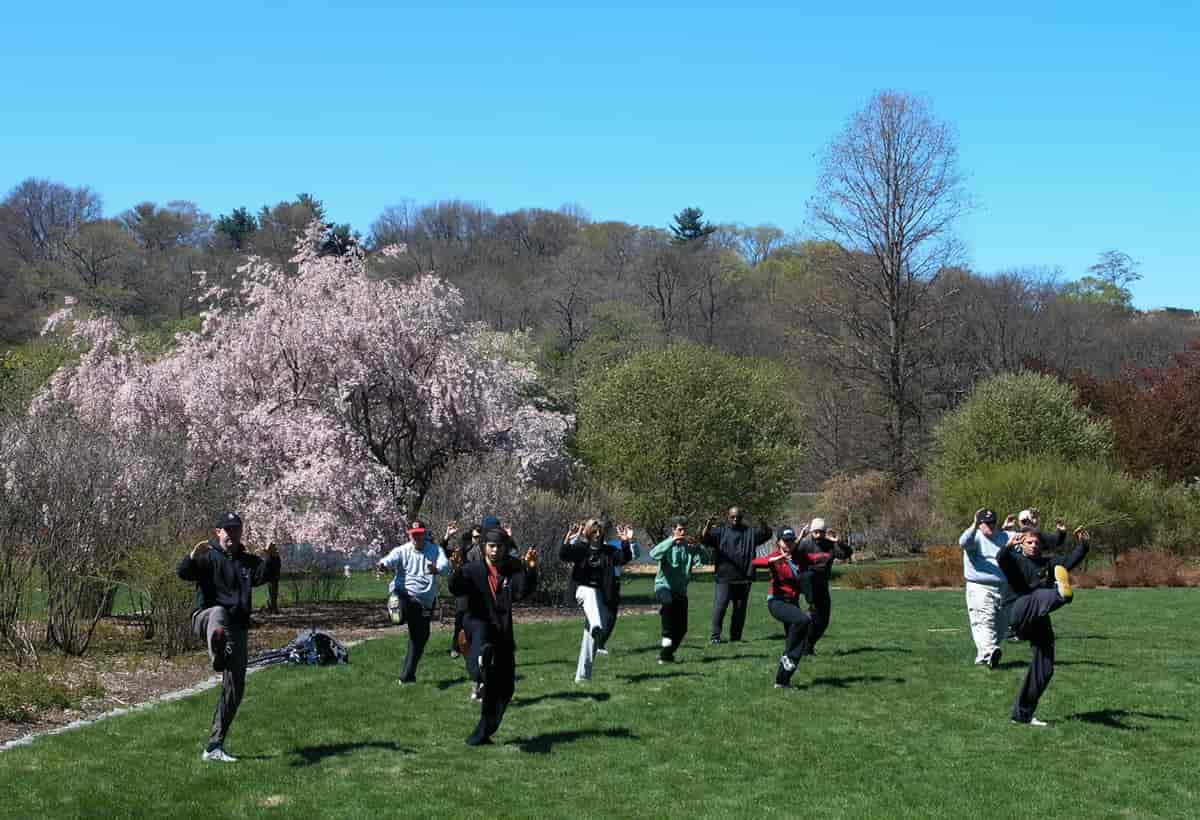 Tai chi chuan i USA