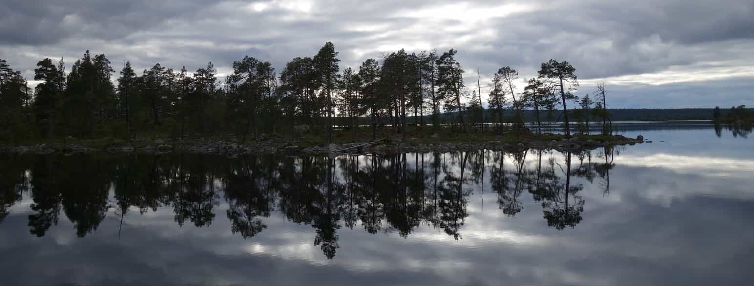 Øvre Pasvik nasjonalpark