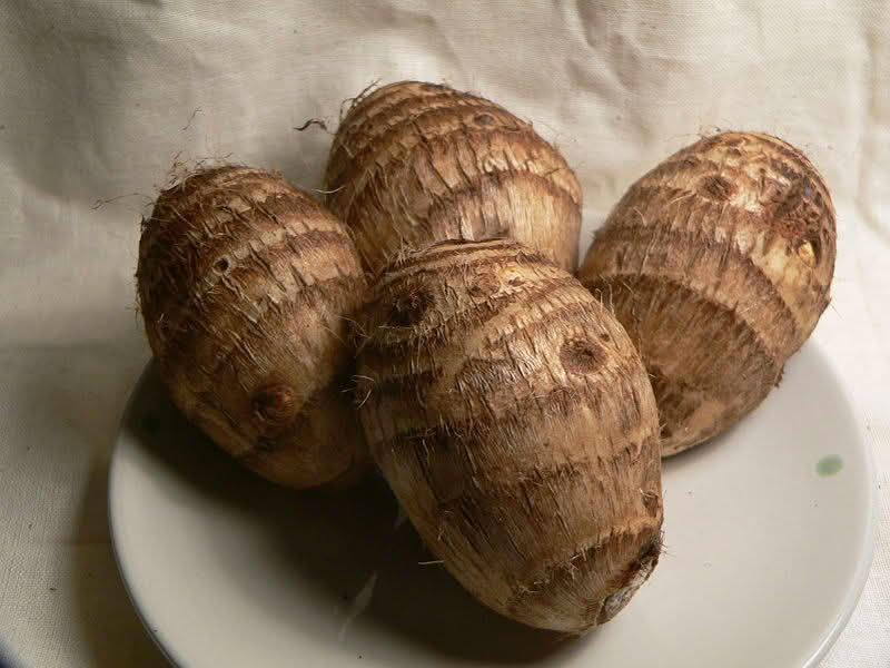 taro