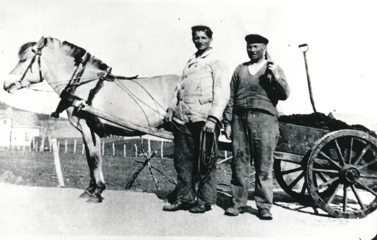 Gjødselkjøring (møkkerkjøring) på Stonglandseidet i Troms 1943.
