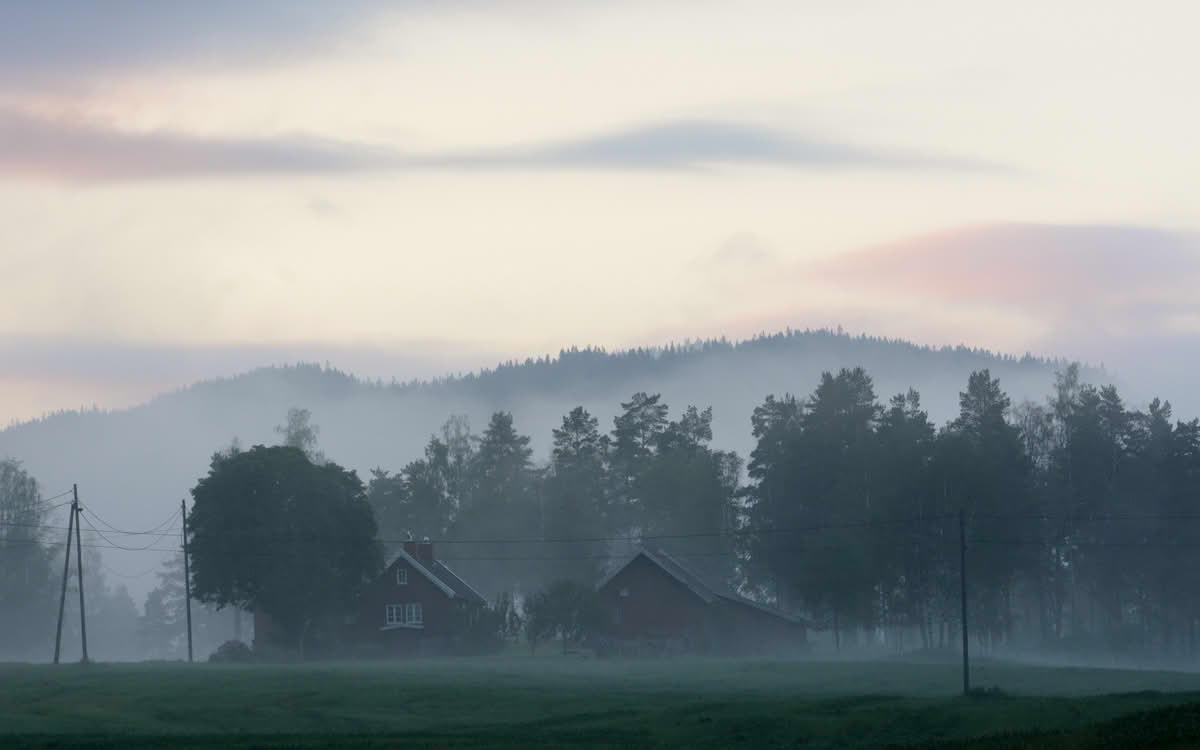 Tåkedis
