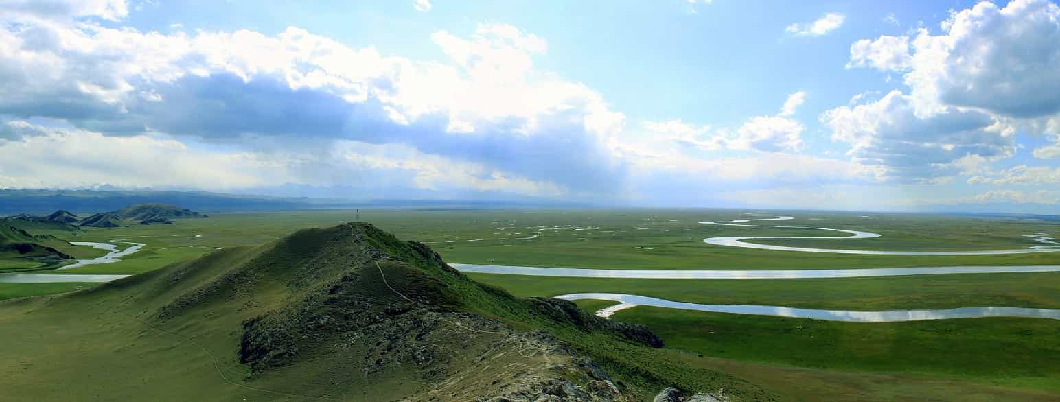 Dsungaria