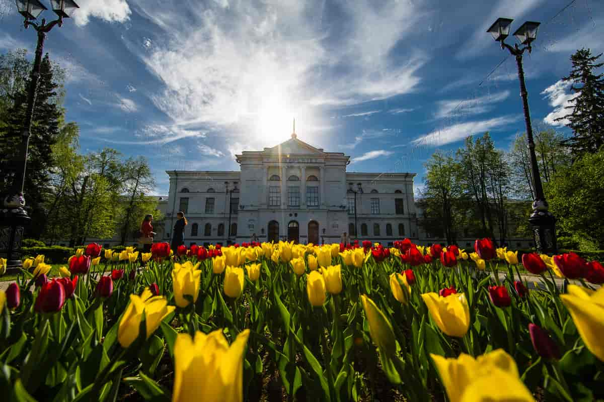 Tomsk universitet