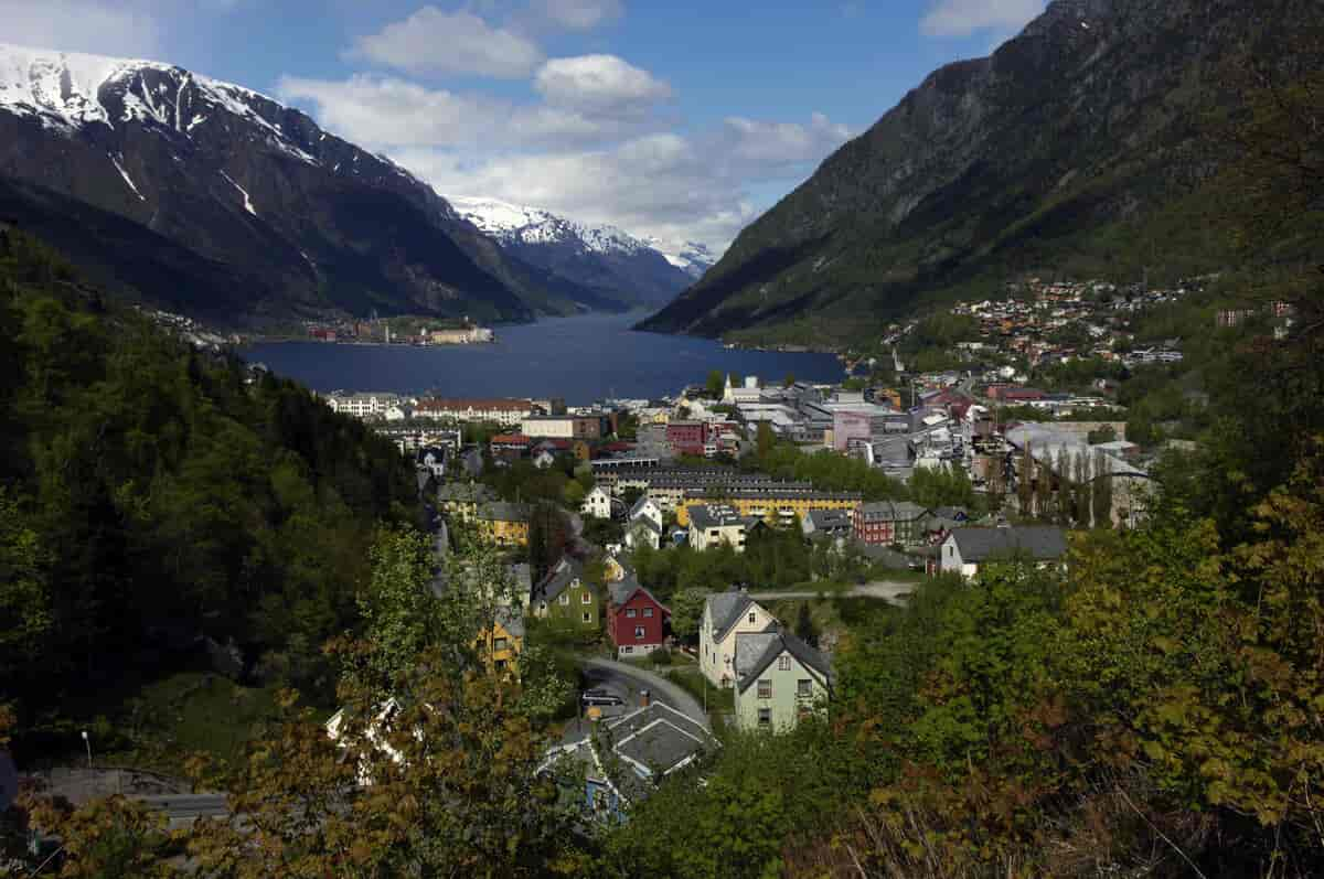 Odda