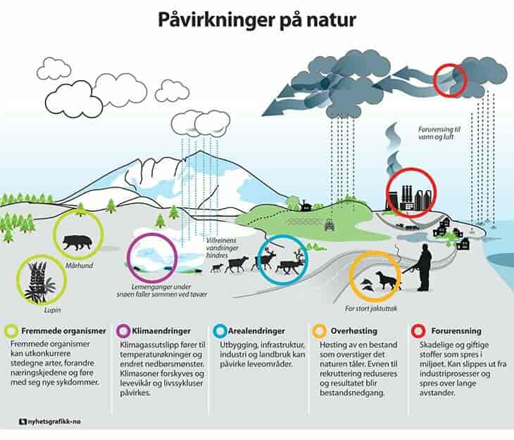 Økologiske påvirkninger