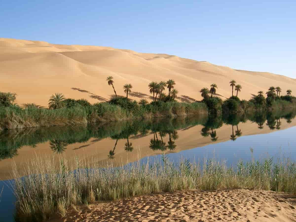 Oase i Sahara