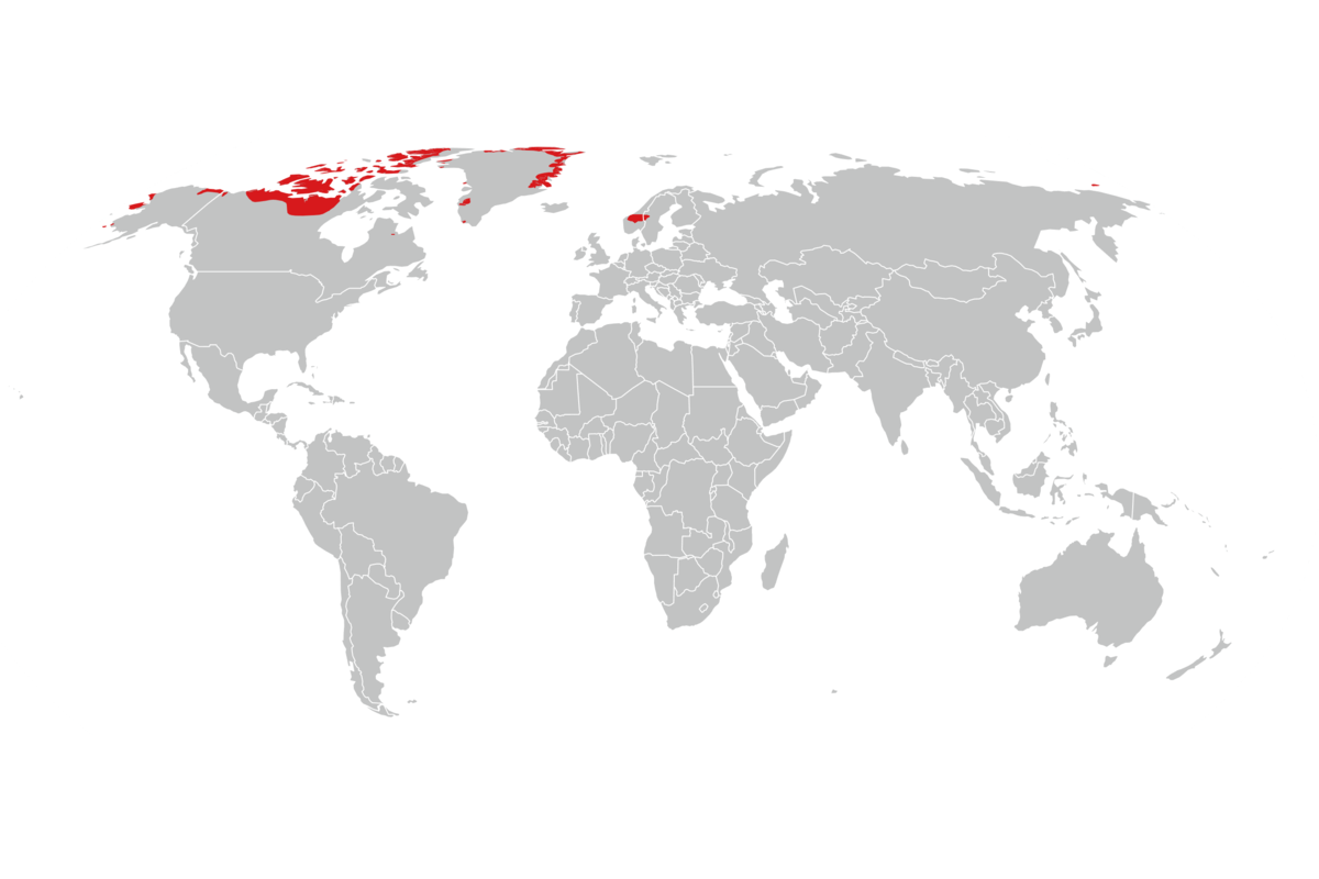 utbredelse av moskusfe