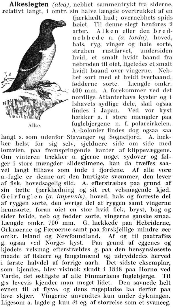 Fra første utgave av Aschehougs leksikon (1906–1913)