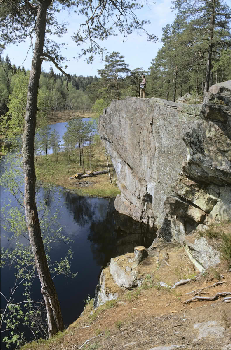 Sveafallen