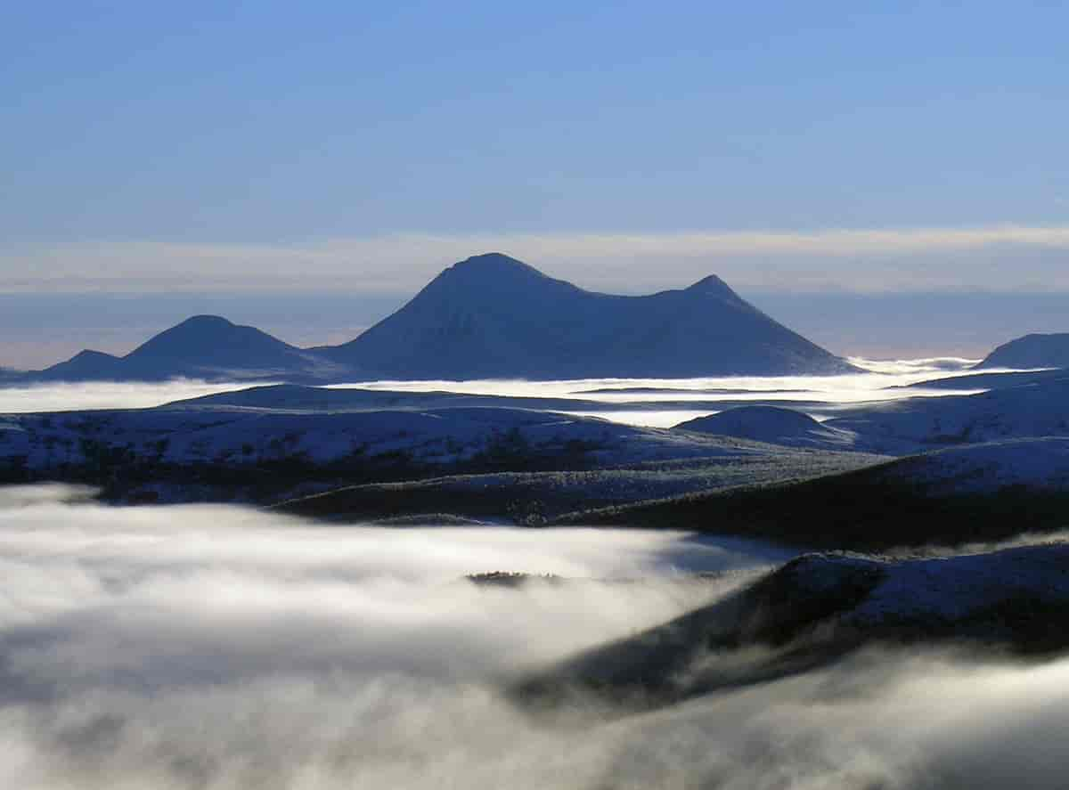 Sølnkletten