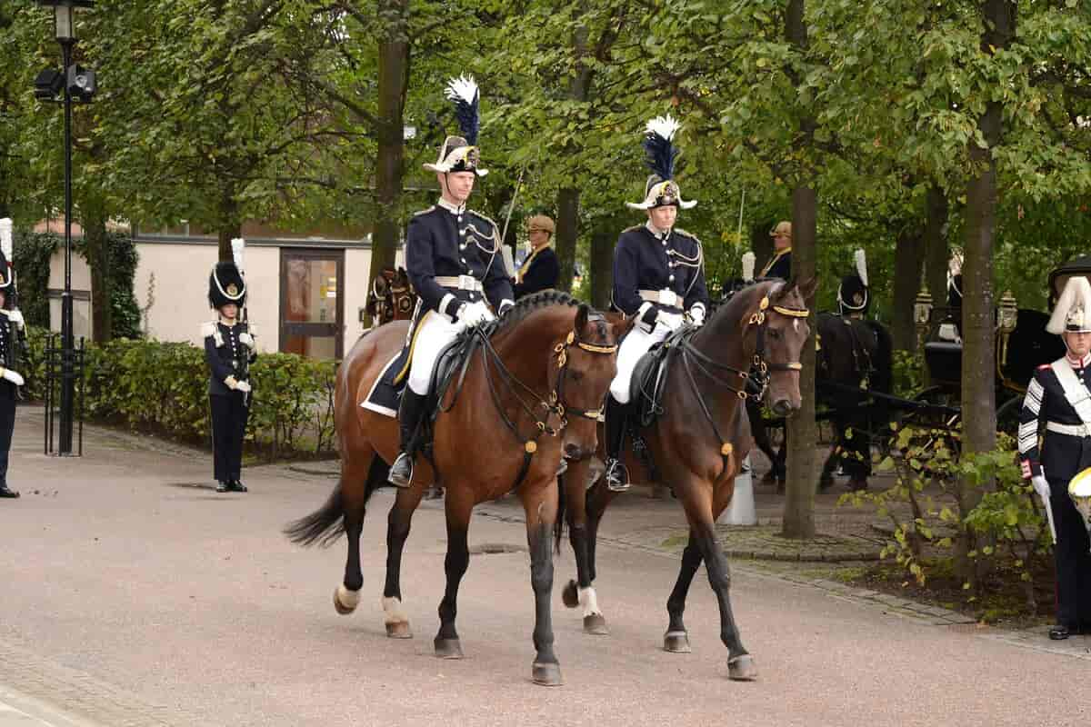 Svenske hoff