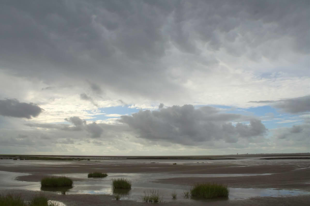 Meldorfer Bucht, Dithmarschen