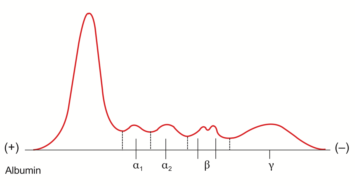 Elektroforese.