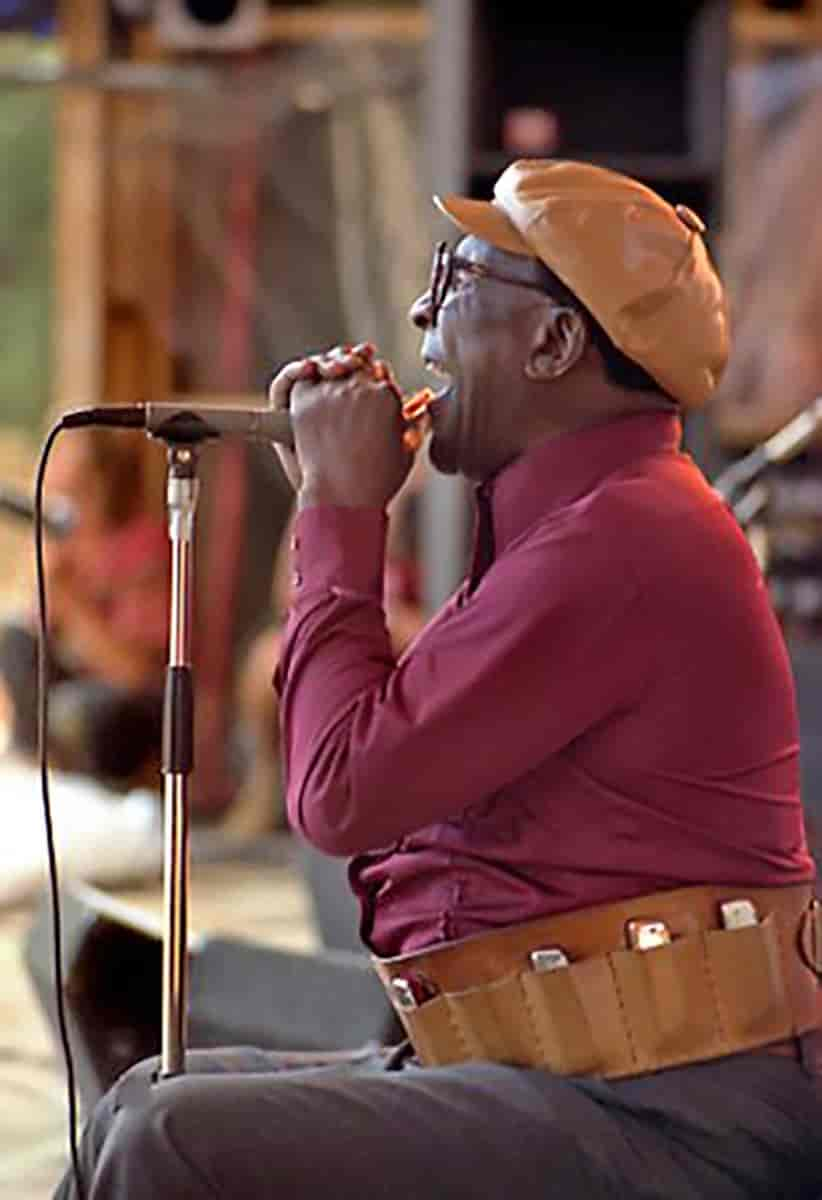 Sonny Terry, 1981