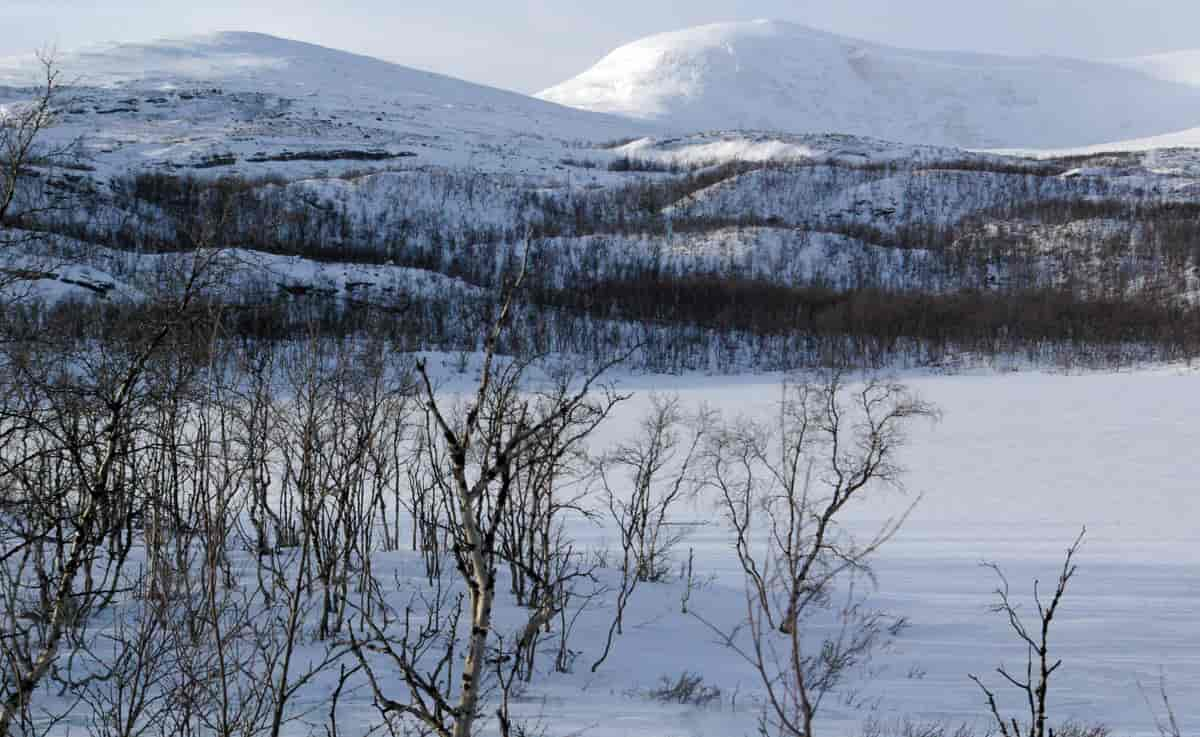 Skibotndalen