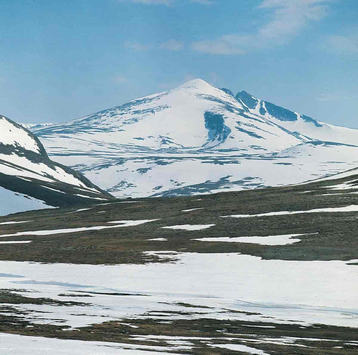 Snøhetta