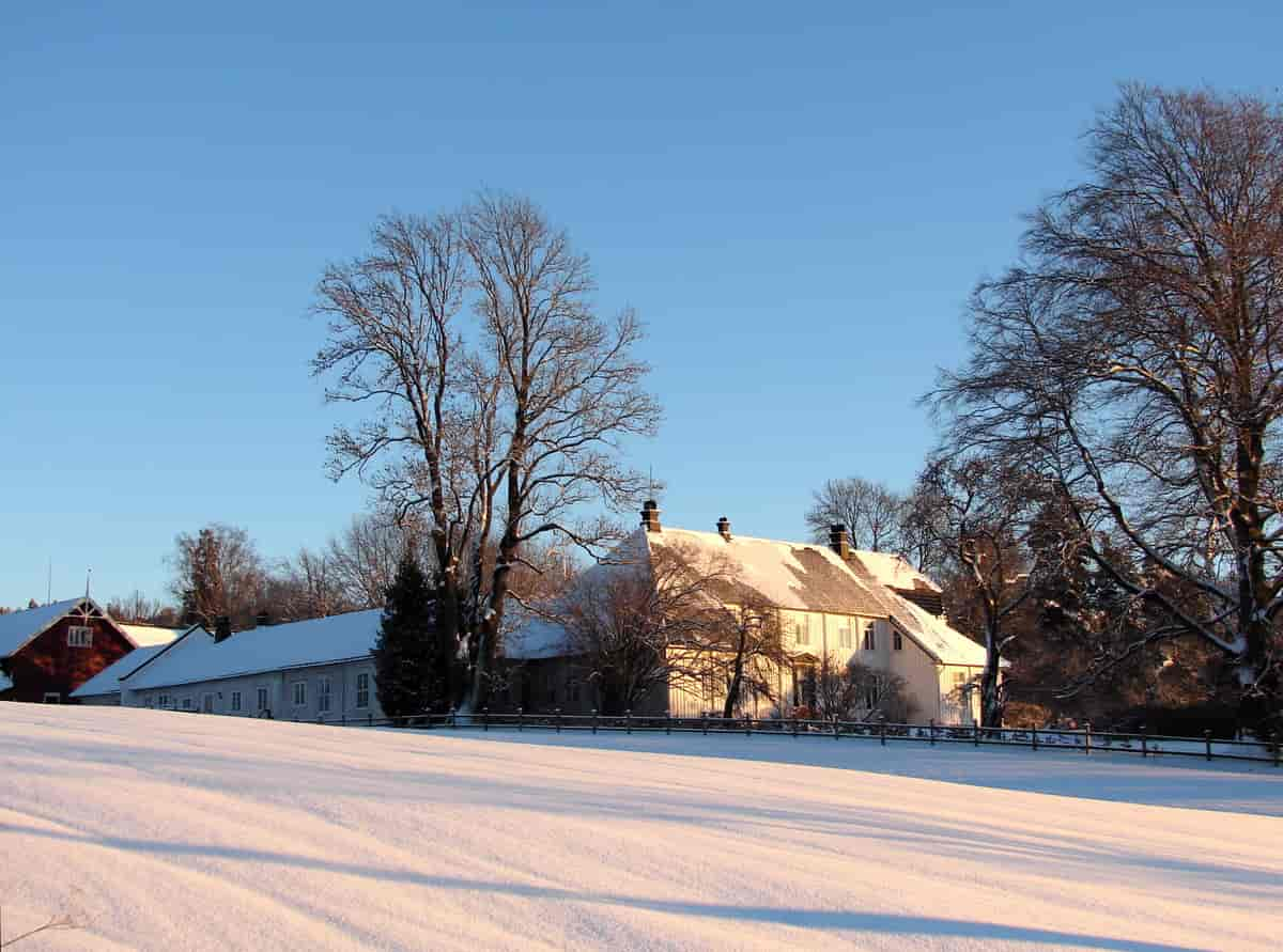 Borgestad gård