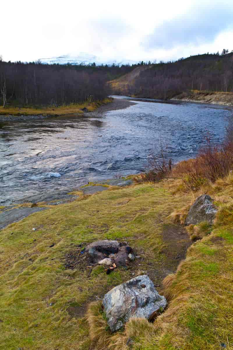 Lakselva nær utløpet 6. november 2011