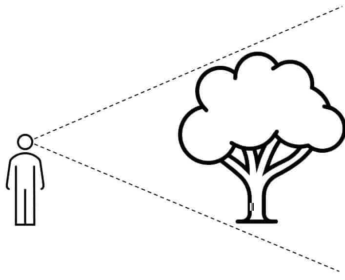 Strekfigur av en person som ser på et tre. Stiplede linjer indikerer personens synsfelt. 