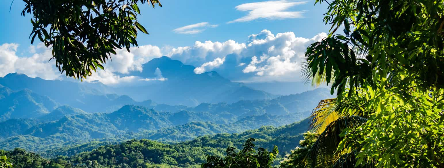 Landskapsfoto fra Jamaica