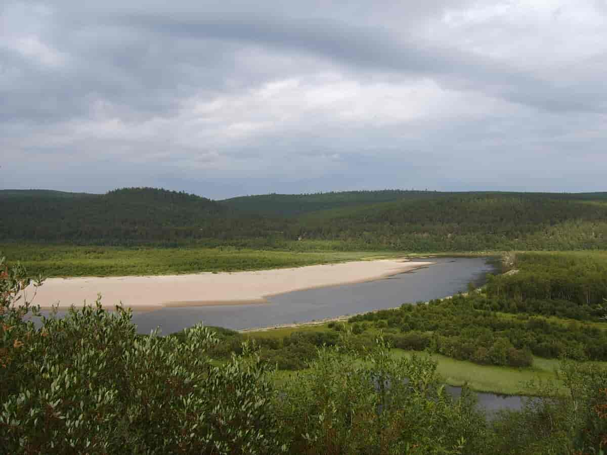 Finnmarksvidda, øst i Karasjok, sommeren 2005