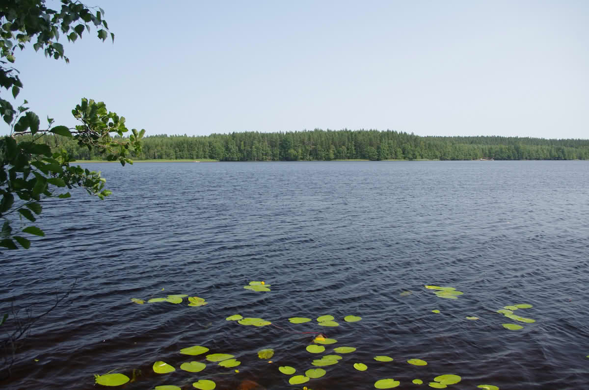 Stråken