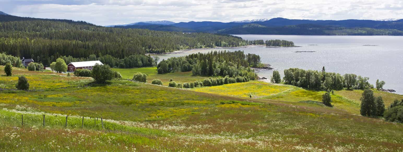 Haddeland i Rauland, med innsjøen Totak