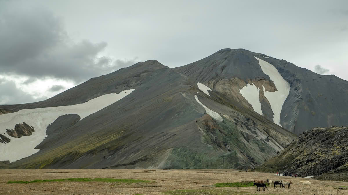 Bláhnjúkur