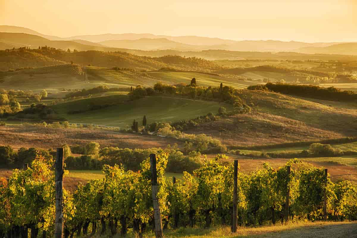 Toscana i Firenze, Italia