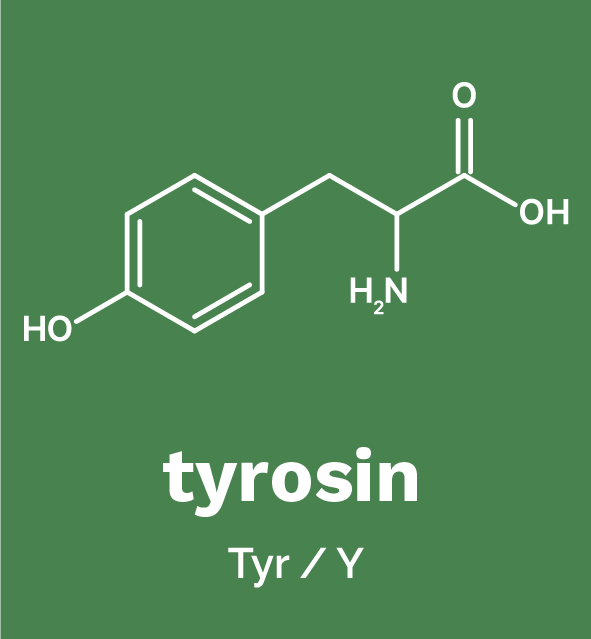 Tyrosin