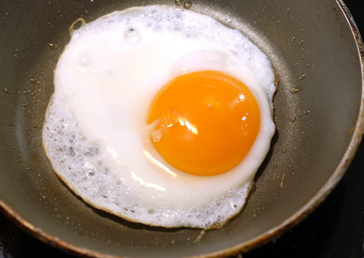 Egg